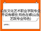 山东文化艺术职业学院专业开设有哪些,特色在哪(山东艺院专业特色)