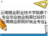 云南锡业职业技术学院哪个专业毕业就业前景比较好(云南锡业职院好就业专业)