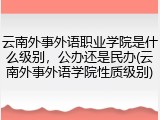 云南外事外语职业学院是什么级别，公办还是民办(云南外事外语学院性质级别)