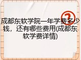 成都东软学院一年学费多少钱，还有哪些费用(成都东软学费详情)
