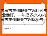 内蒙古丰州职业学院什么专业最好，一年招多少人(内蒙古丰州职业学院优势专业)