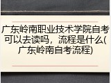 广东岭南职业技术学院自考可以去读吗，流程是什么(广东岭南自考流程)