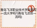 青岛飞洋职业技术学院是双一流大学吗?(青岛飞洋双一流吗)