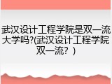 武汉设计工程学院是双一流大学吗?(武汉设计工程学院双一流？)