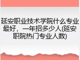 延安职业技术学院什么专业最好，一年招多少人(延安职院热门专业人数)