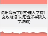 沈阳音乐学院办理入学有什么攻略没(沈阳音乐学院入学攻略)