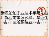 武汉船舶职业技术学院毕业后就业前景怎么样，毕业生去向(武船职院就业去向)
