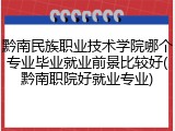 黔南民族职业技术学院哪个专业毕业就业前景比较好(黔南职院好就业专业)