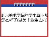 湖北美术学院的学生毕业都怎么样了(湖美毕业生去向)