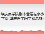肇庆医学院到毕业要花多少学费(肇庆医学院学费总额)