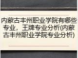 内蒙古丰州职业学院有哪些专业，王牌专业分析(内蒙古丰州职业学院专业分析)