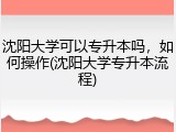 沈阳大学可以专升本吗，如何操作(沈阳大学专升本流程)