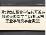 深圳城市职业学院共开设有哪些类型奖学金(深圳城市职业学院奖学金类型)