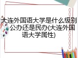 大连外国语大学是什么级别，公办还是民办(大连外国语大学属性)