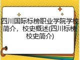 四川国际标榜职业学院学校简介，校史概述(四川标榜校史简介)