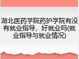 湖北医药学院药护学院有没有就业指导，好就业吗(就业指导与就业情况)