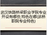 武汉铁路桥梁职业学院专业开设有哪些,特色在哪(武桥职院专业特色)