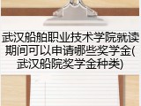 武汉船舶职业技术学院就读期间可以申请哪些奖学金(武汉船院奖学金种类)