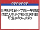 重庆科技职业学院一年财政拨款大概多少钱(重庆科技职业学院年拨款)