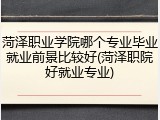 菏泽职业学院哪个专业毕业就业前景比较好(菏泽职院好就业专业)
