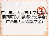 广西电力职业技术学院就读期间可以申请哪些奖学金(广西电力职院奖学金)