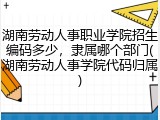湖南劳动人事职业学院招生编码多少，隶属哪个部门(湖南劳动人事学院代码归属)