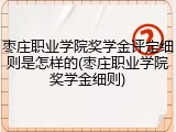 枣庄职业学院奖学金评定细则是怎样的(枣庄职业学院奖学金细则)