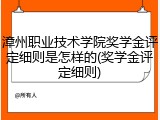 漳州职业技术学院奖学金评定细则是怎样的(奖学金评定细则)