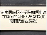 湖南民族职业学院如何申请在读间的创业无息贷款(湖南职院创业贷款)