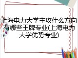 上海电力大学主攻什么方向有哪些王牌专业(上海电力大学优势专业)