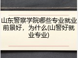 山东警察学院哪些专业就业前景好，为什么(山警好就业专业)