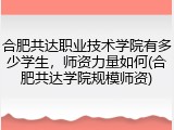 合肥共达职业技术学院有多少学生，师资力量如何(合肥共达学院规模师资)