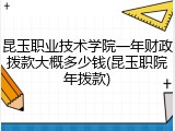 昆玉职业技术学院一年财政拨款大概多少钱(昆玉职院年拨款)
