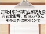 云南外事外语职业学院有没有就业指导，好就业吗(云南外事外语就业如何)