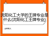 沈阳化工大学的王牌专业是什么(沈阳化工王牌专业)
