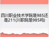 四川职业技术学院是985还是211(川职院是985吗)