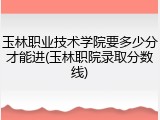 玉林职业技术学院要多少分才能进(玉林职院录取分数线)