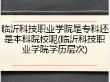 临沂科技职业学院是专科还是本科院校呢(临沂科技职业学院学历层次)