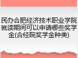 民办合肥经济技术职业学院就读期间可以申请哪些奖学金(合经院奖学金种类)