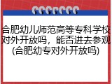 合肥幼儿师范高等专科学校对外开放吗，能否进去参观(合肥幼专对外开放吗)