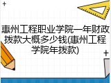 惠州工程职业学院一年财政拨款大概多少钱(惠州工程学院年拨款)