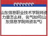 山东信息职业技术学院师资力量怎么样，名气如何(山东信息学院师资名气)