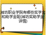 潍坊职业学院有哪些奖学金和助学金呢(潍坊奖助学金详情)