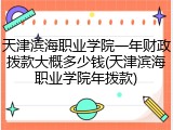 天津滨海职业学院一年财政拨款大概多少钱(天津滨海职业学院年拨款)