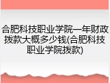 合肥科技职业学院一年财政拨款大概多少钱(合肥科技职业学院拨款)