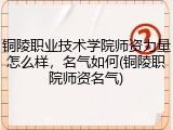 铜陵职业技术学院师资力量怎么样，名气如何(铜陵职院师资名气)