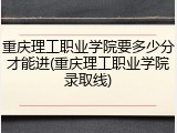 重庆理工职业学院要多少分才能进(重庆理工职业学院录取线)