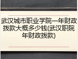 武汉城市职业学院一年财政拨款大概多少钱(武汉职院年财政拨款)