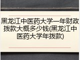 黑龙江中医药大学一年财政拨款大概多少钱(黑龙江中医药大学年拨款)
