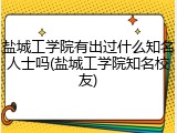 盐城工学院有出过什么知名人士吗(盐城工学院知名校友)